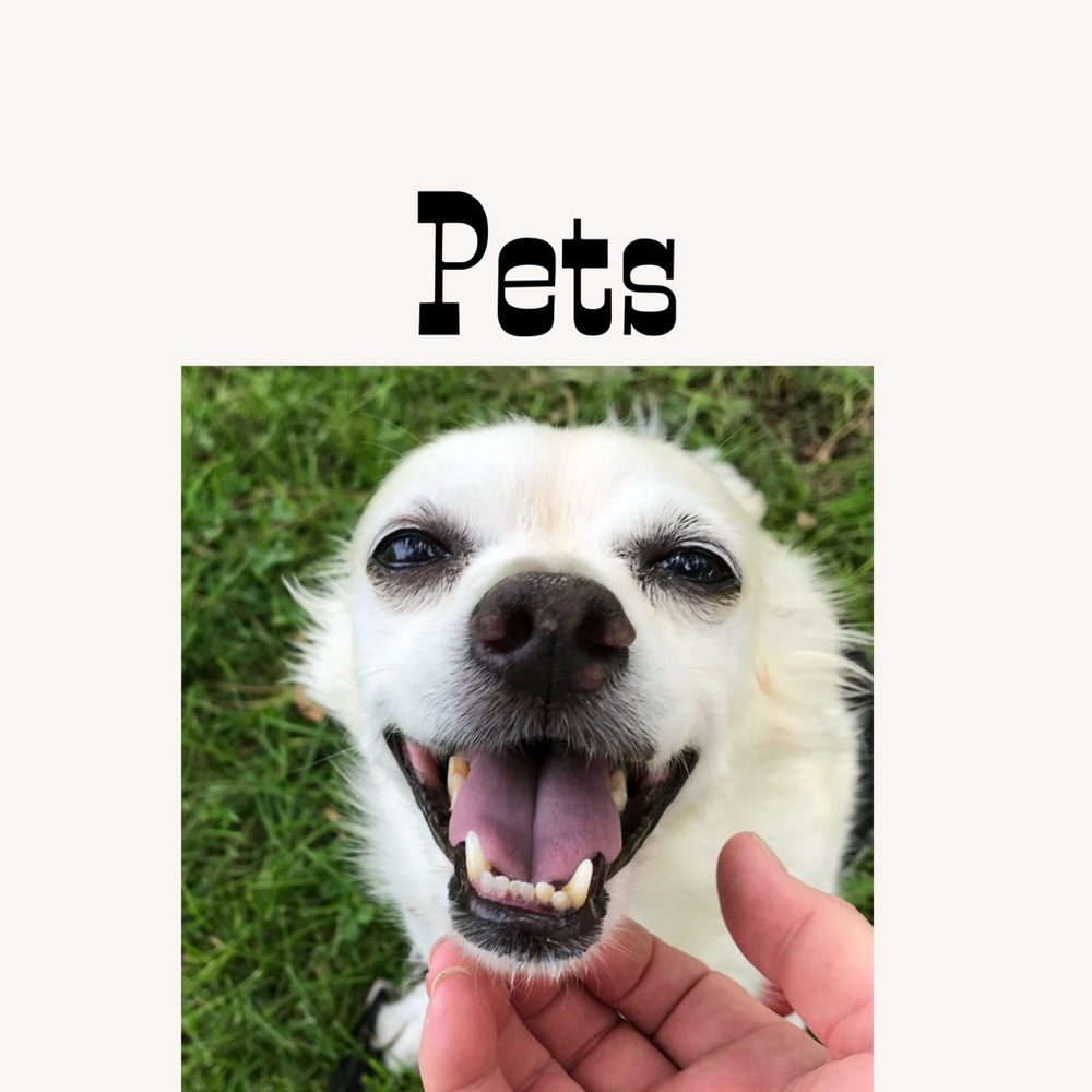 Pets